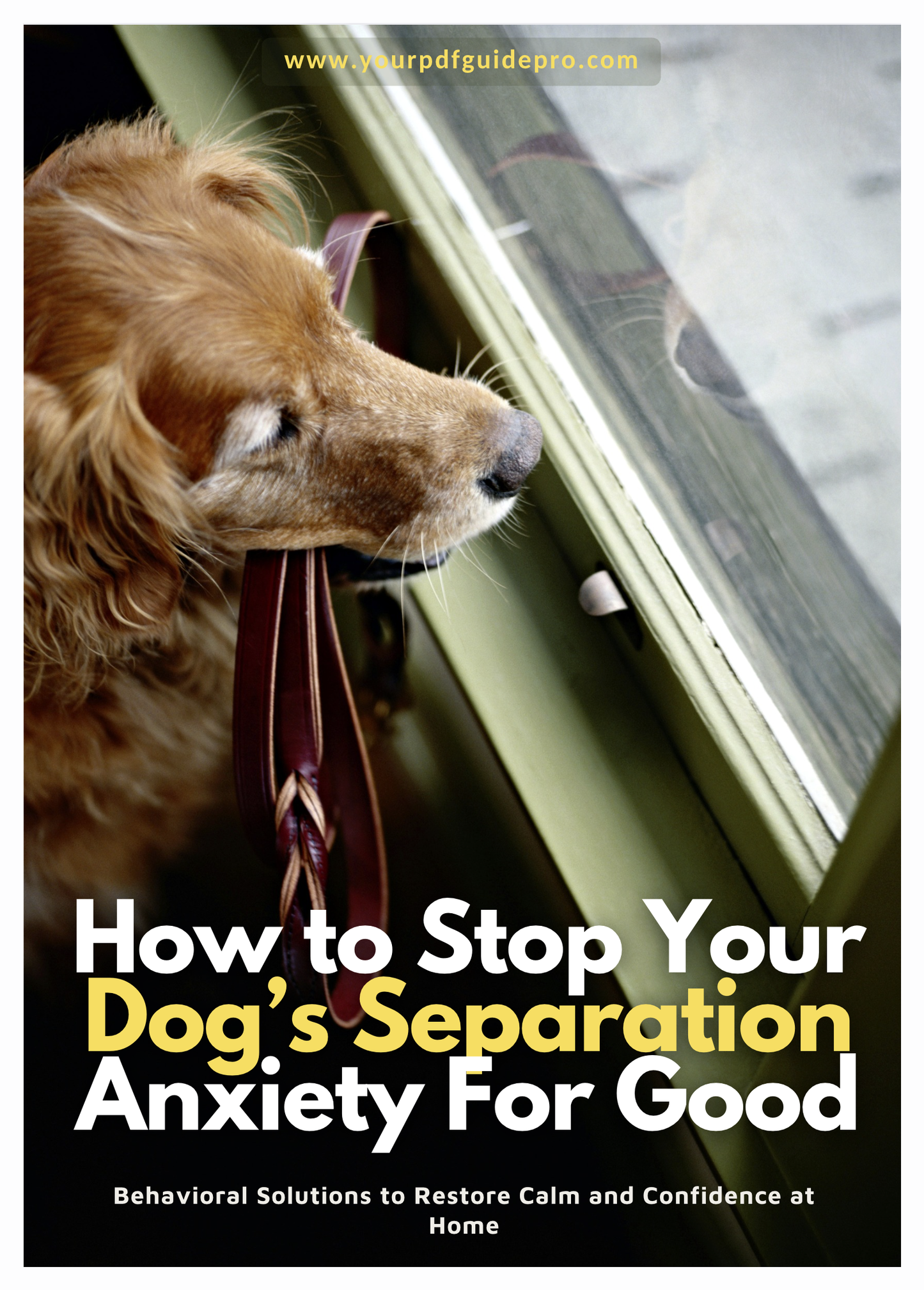 How to Stop Your Dog’s Separation Anxiety For Good